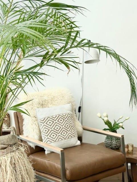 Casa La Cascara Apartment Зандвоорт Екстериор снимка